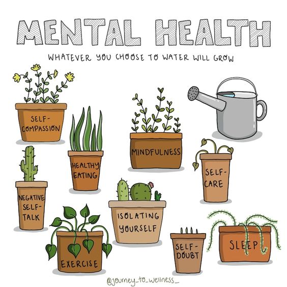 Mind Matters: Navigating Wellness