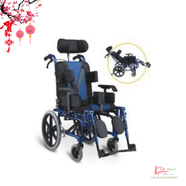 Paediatric Wheelchair